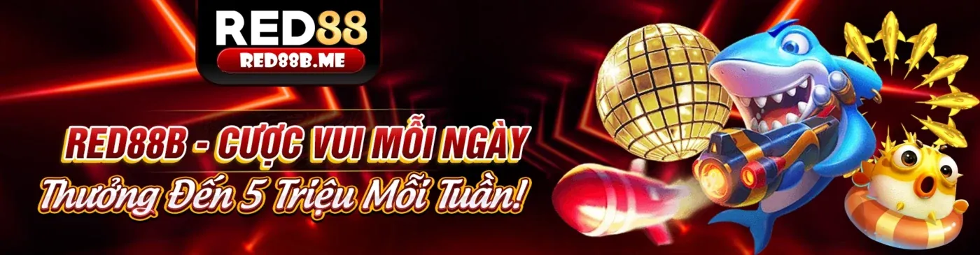 Tổng quan về S8B104 - Nền tảng cá cược trực tuyến hàng đầu Việt Nam